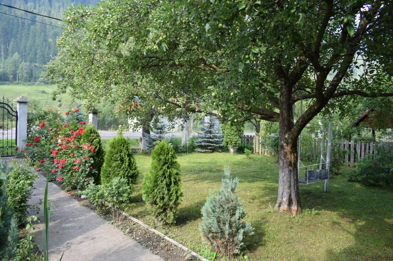 Гостевой дом Casa VIV Chiril-29