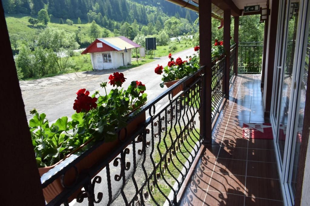 Гостевой дом Casa VIV Chiril-42
